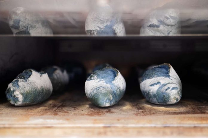 Matteo Cunsolo Pane Blu Pantone 0