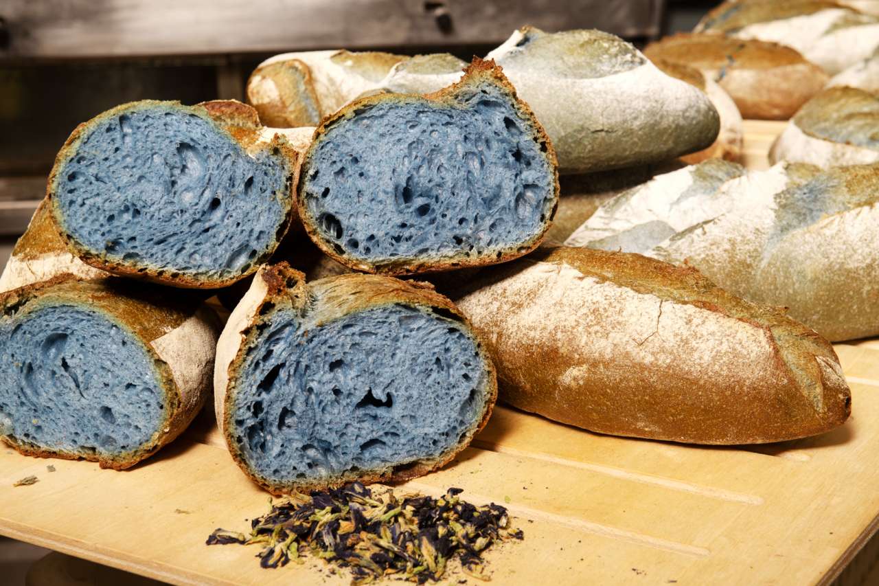 Matteo Cunsolo Pane Blu Pantone 1