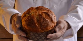 Fresh panettone.