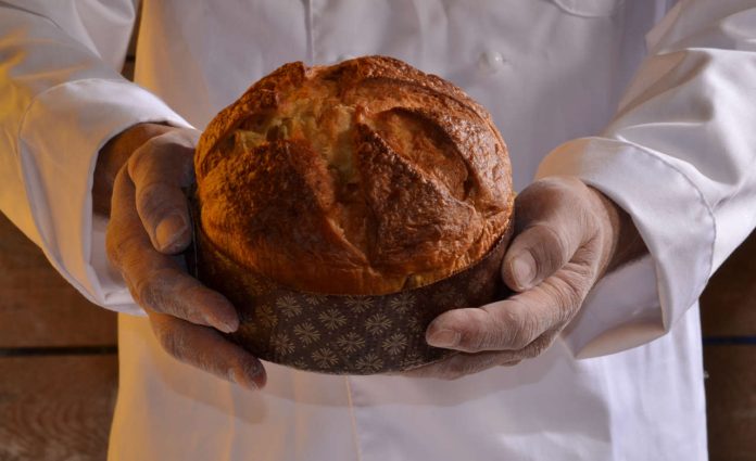 Fresh panettone. Fresh panettone.