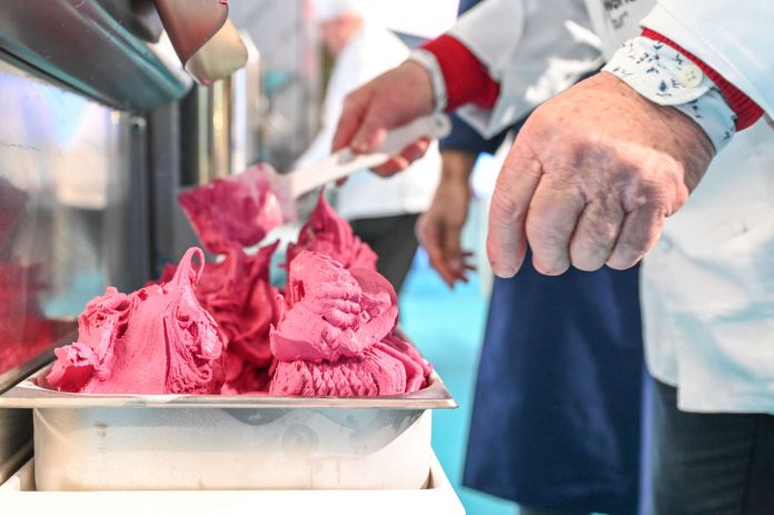 Sigep_foto3_ediz_preced