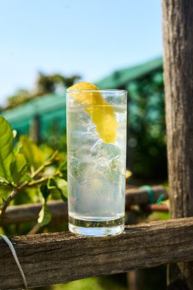 TASSONI _travel_DSC00089