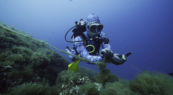 Continua l’impegno ecologico di Gin Mare a favore del Mediterraneo
