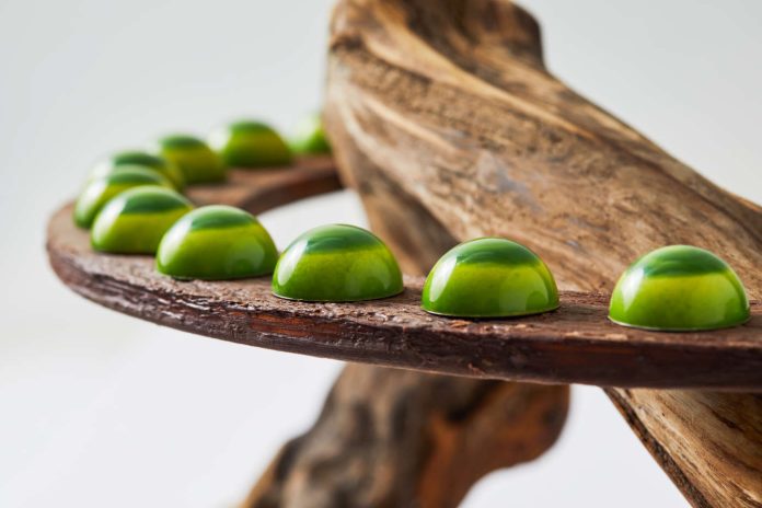 WCM-Chicago-2021-Day2_11094-rt