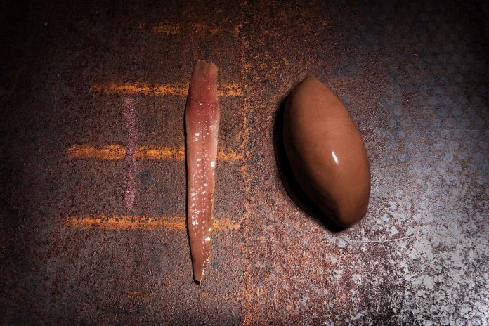 apre_brambillaserrani_222544