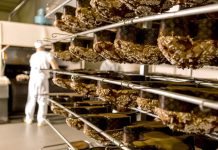 Andrea Filippi: «Da oggi misuro quanto sono sostenibile»