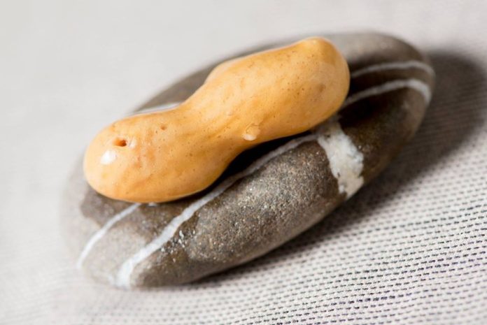 illusione di arachide antonio cuomo