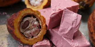 cioccolato rosa barry callebaut