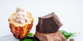 t-wholefruit-chocolate-stamped-1600x1068