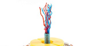 Coppa gelateria 2020