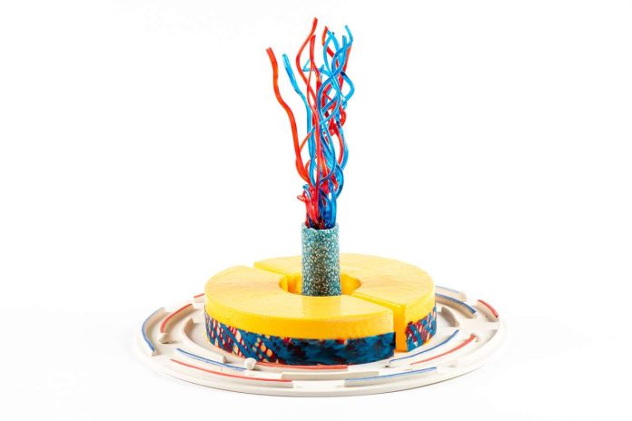 Coppa gelateria 2020