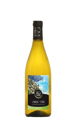 Velier cinque terre Bianco Possa