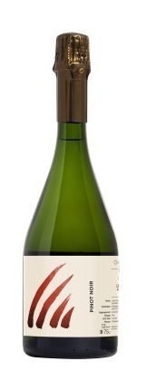 velier Champagne Le Pignon Insu 2021