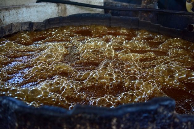 Clairin Fermentazione