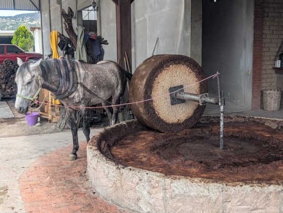 Meregalli Spirits Mezcal Joven Espadin lavorazione