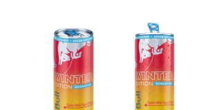Red Bull Winter Edition Sugarfree 2025