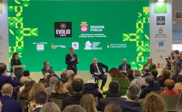 Evolio Expo: torna la fiera dedicata all’olio extravergine d’oliva