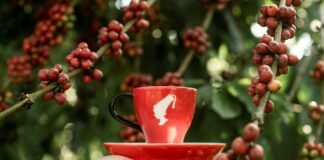 Julius Meinl