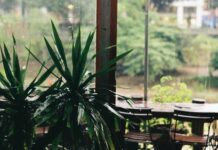 Il 31 marzo si avvicina: per i locali scatta l’obbligo dell’assicurazione catastrofale assicurazione catastrofale pexels-qhung999-12735640