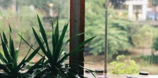 assicurazione catastrofale pexels-qhung999-12735640