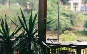 assicurazione catastrofale pexels-qhung999-12735640