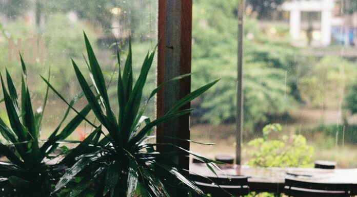 Dal 31 marzo scatta l’obbligo dell’assicurazione catastrofale per i locali assicurazione catastrofale pexels-qhung999-12735640