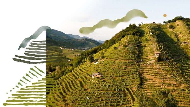 Bisol1542 vigneti Bisol1542@mimicocodesign