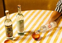 Agavi Tour: Compagnia dei Caraibi attraversa l’Italia con il meglio dei distillati messicani Agavi Tour 2026 Compagnia dei Caraibi
