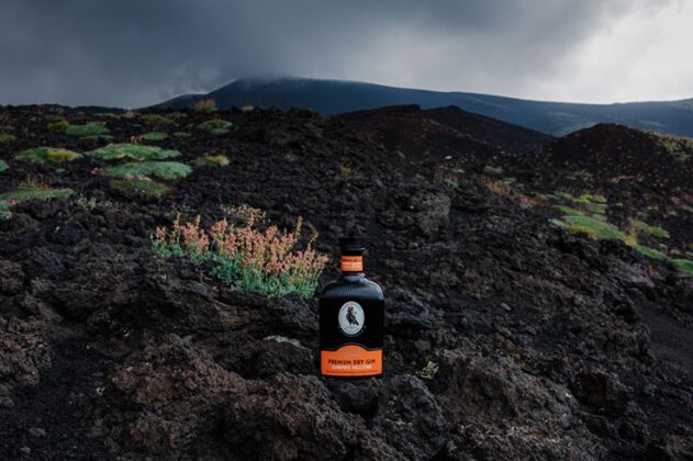 Edgar Sopper Dry Gin 2