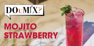DOuMIX _MOJITO STRAWBERRY_696x396