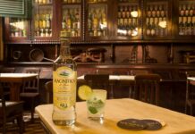 Meregalli Spirits amplia il catalogo con cachaça Magnífica e sotol Cardenxe Meregalli Sporits magnífica__72