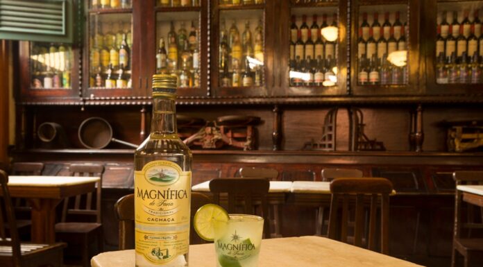 Meregalli Spirits amplia il catalogo con cachaça Magnífica e sotol Cardenxe Meregalli Sporits magnífica__72