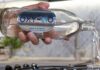 Oxy-Go, l’acqua iper-ossigenata che strizza l’occhio al fuori casa OXY-GO