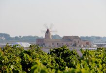 Torna Insolito Marsala: in scena l’ospitalità del futuro Insolito Marsala 2026