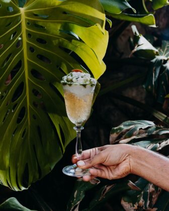 Jungle Eye - Monstera Bar - M&eacute;dousa Bistrot & Suites