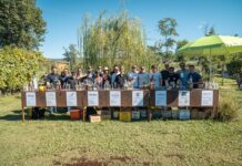 Dal territorio al banco: a Bolgheri il cocktail incontra chi produce Bars in the Field BOLGHERI GREEN apertura
