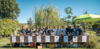 Bars in the Field BOLGHERI GREEN apertura