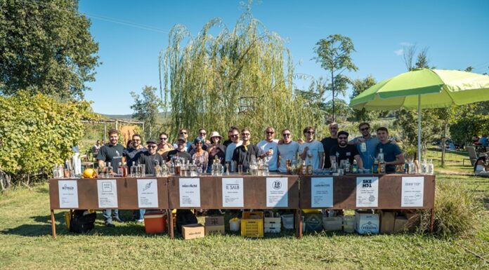 Bars in the Field BOLGHERI GREEN apertura