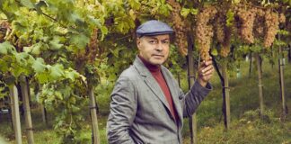 Dario Baracco Tigre Compagnia dei Caraibi
