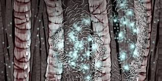 Trasformare gli scarti in materiali ecocompatibili