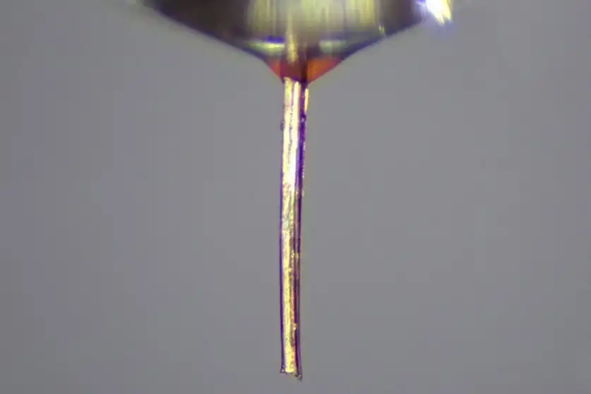 Un ugello per stampa 3D dalla proboscide di una zanzara