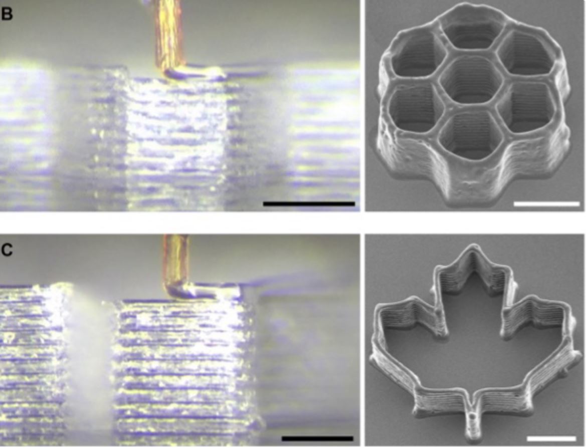  Design di ugelli 3D ispirato alla proboscide della zanzara