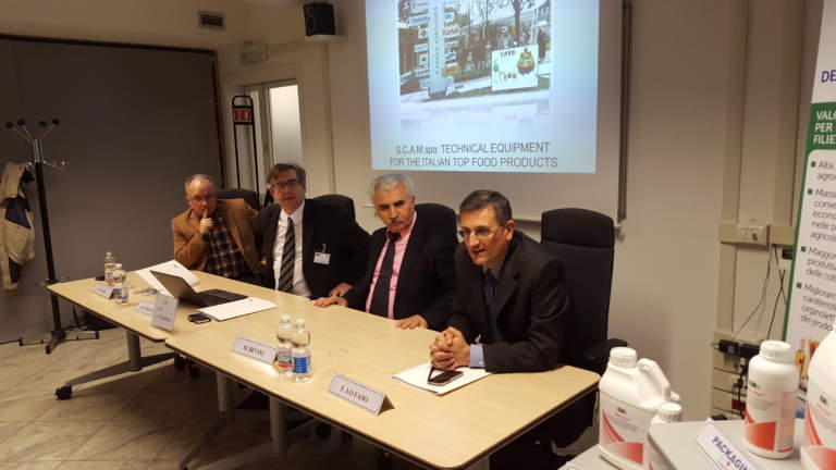 Scam incontro