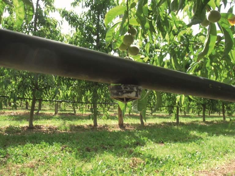 microirrigazione
