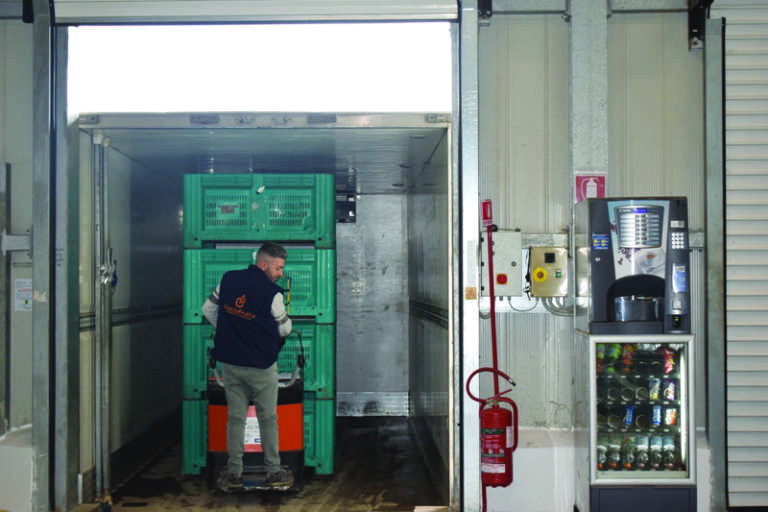 logistica