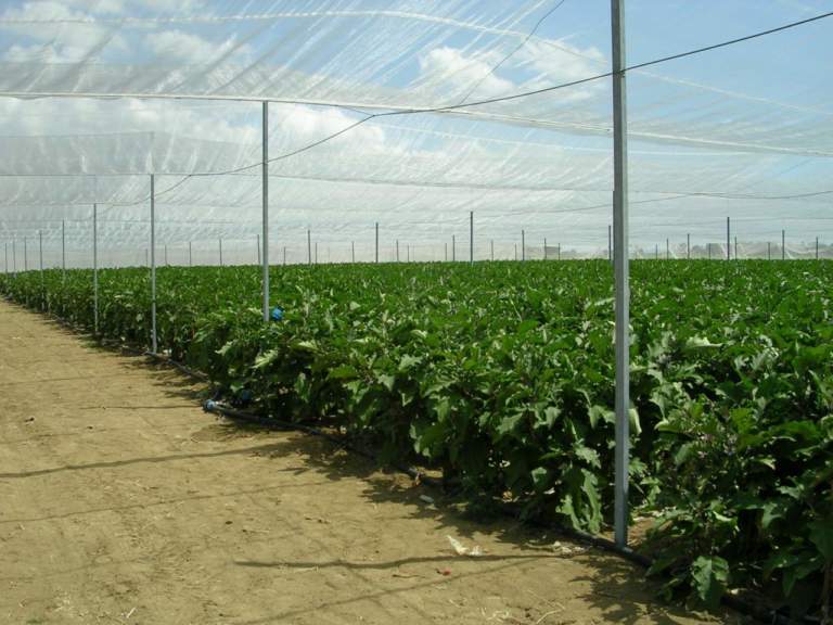 nuovi agrofarmaci
