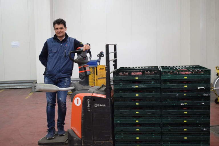 logistica