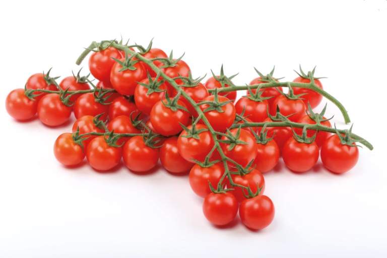 pomodoro da mensa