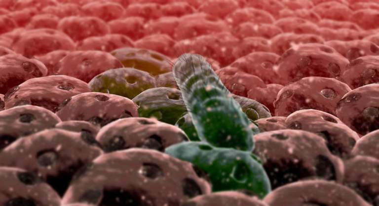bioinsetticidi