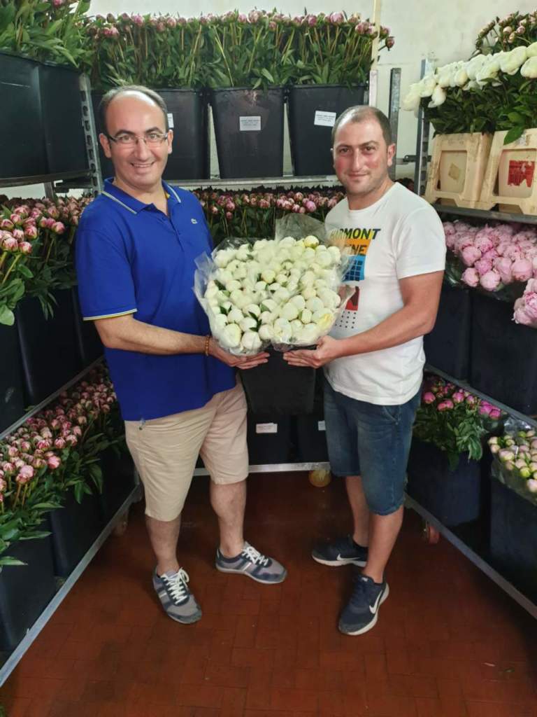 peonia